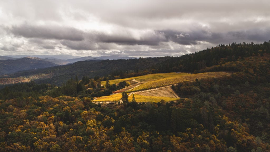Candlestick Ridge Estate Vineyard, Howell Mountain