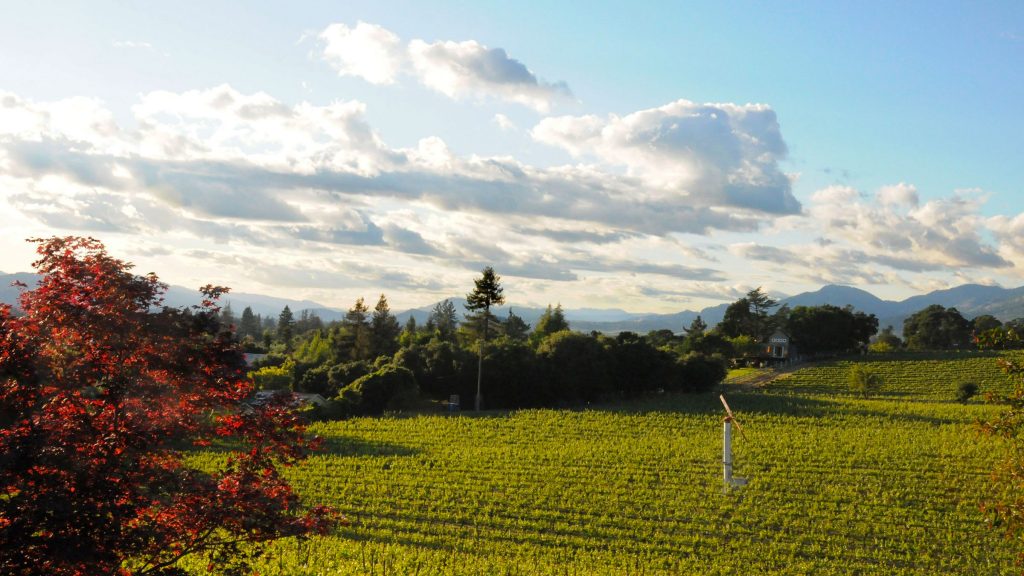 La Londe Affinity Vineyard