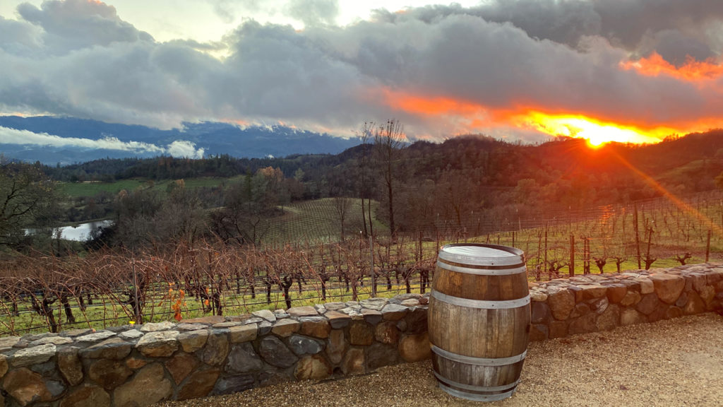 Robert Craig Winery Howell Mountain View