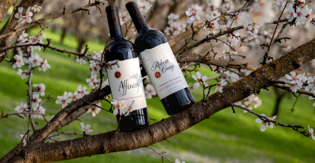 Affinity & Spring mountain cabernet bottles with spring blossoms in the background